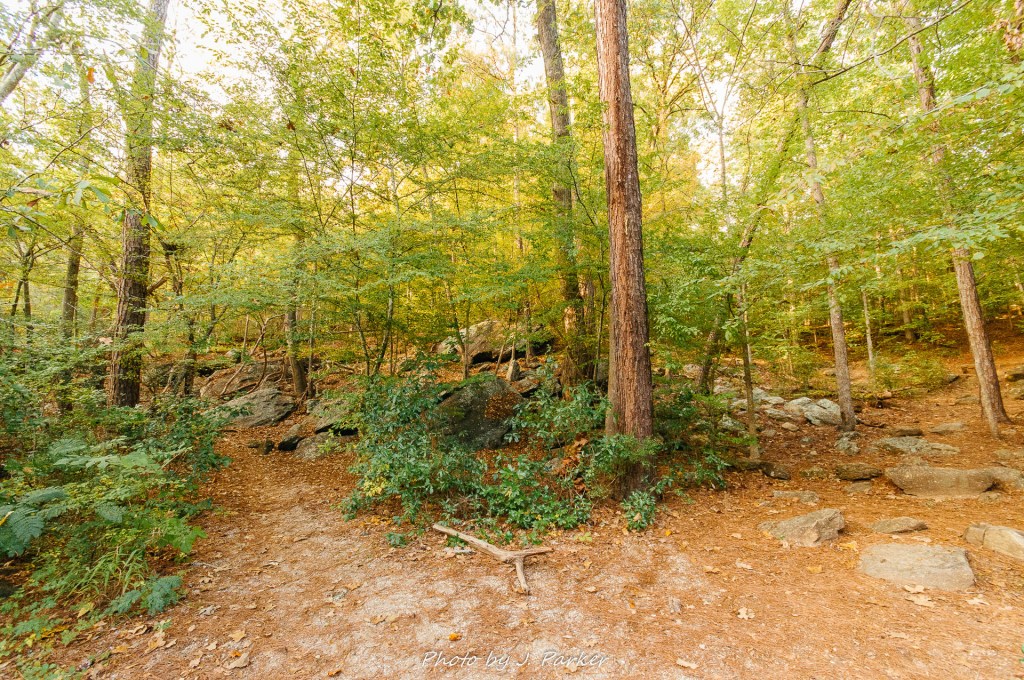 This image has an empty alt attribute; its file name is 2017_10_14-high-falls-park-171.jpg