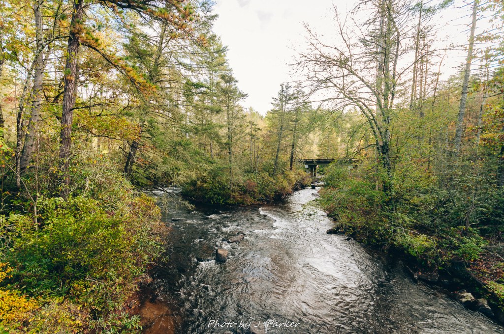 This image has an empty alt attribute; its file name is 2017_10_16a-dupont-sf-91.jpg