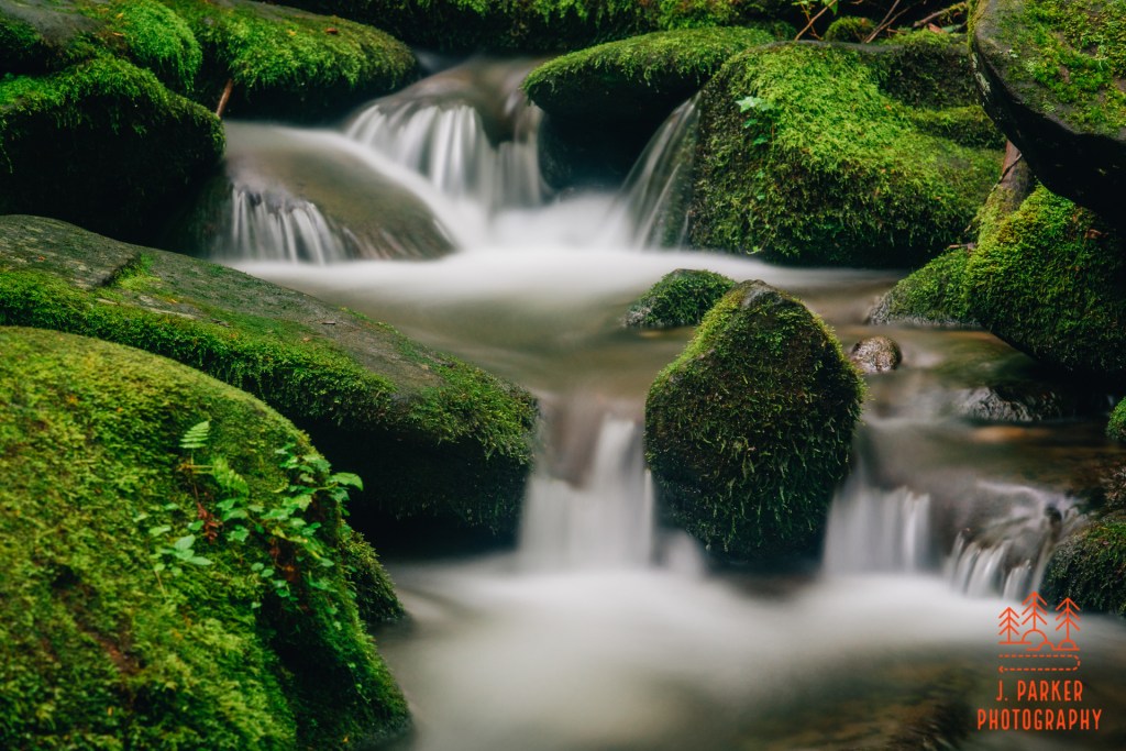 This image has an empty alt attribute; its file name is 2020_06_30b-roaring-fork-d750-10.jpg