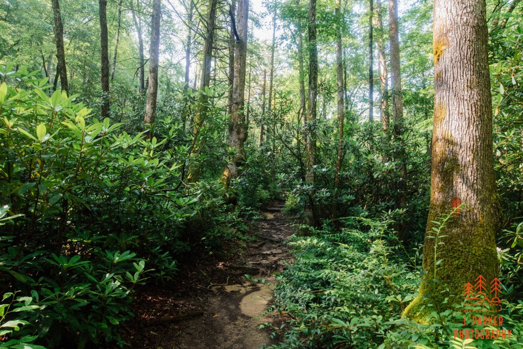 This image has an empty alt attribute; its file name is 2020_07_04a-john-rock-211.jpg